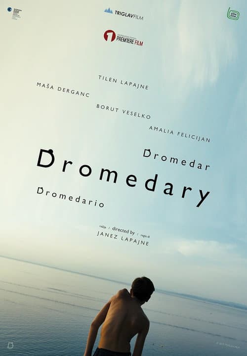 Dromedar (2019) poster