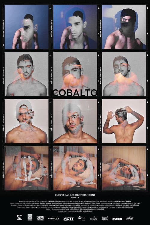 Cobalto (2023) poster