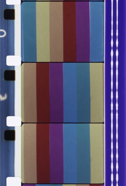 Trama (1980) poster