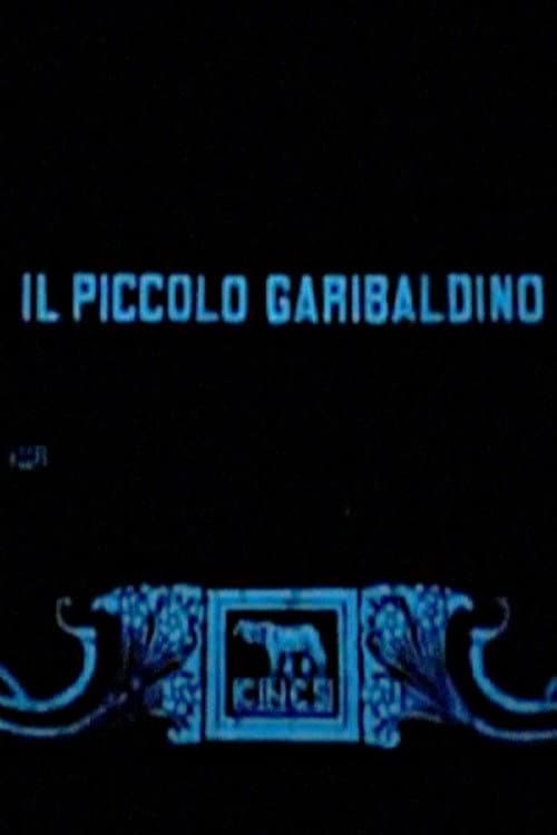 Il piccolo garibaldino (1909) poster