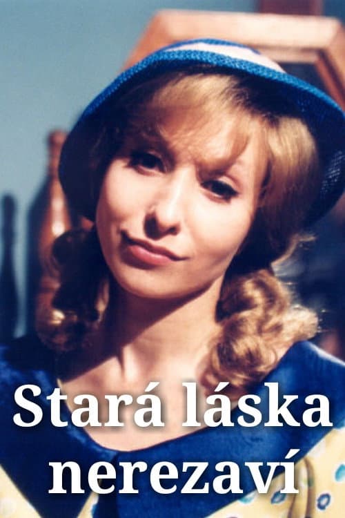 Stará láska nerezaví (2003) poster