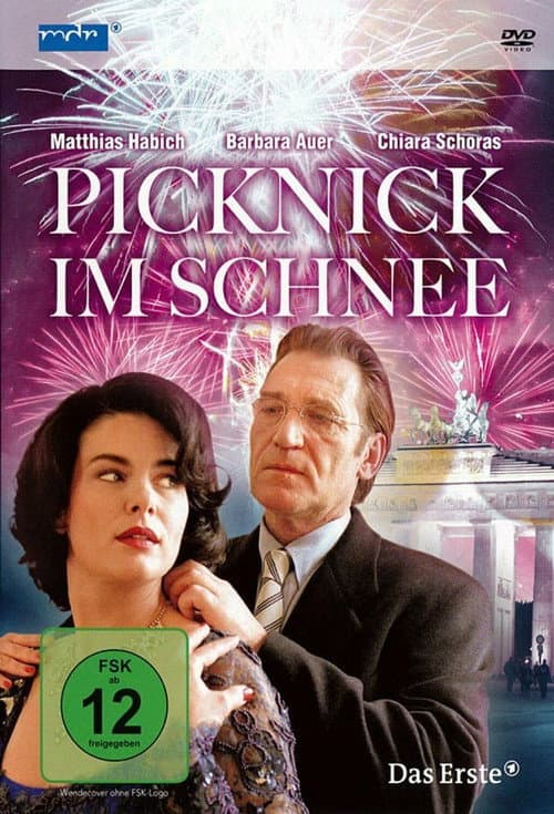Picknick im Schnee (1999) poster