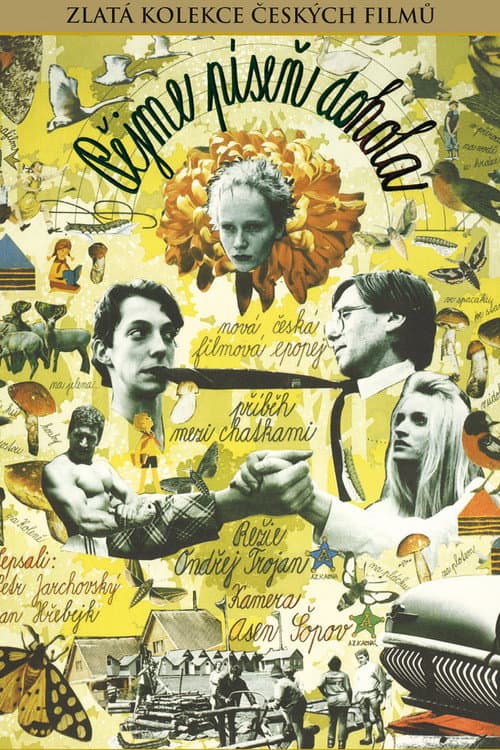 Pějme píseň dohola (1991) poster