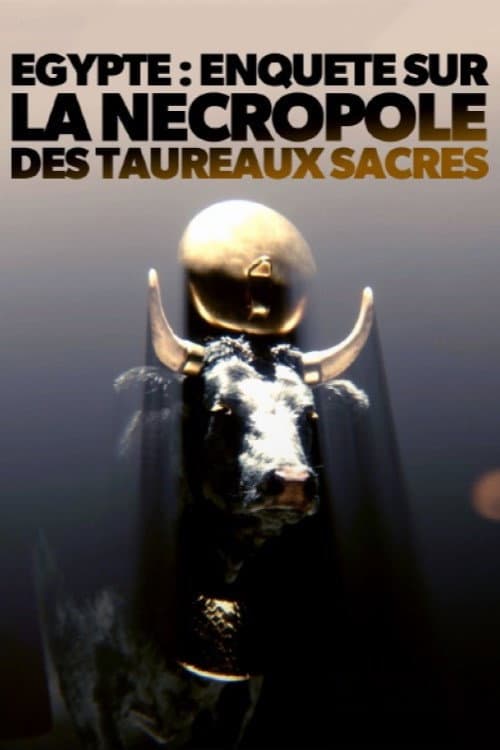 Égypte - Enquête sur la nécropole des taureaux sacrés (2023) poster