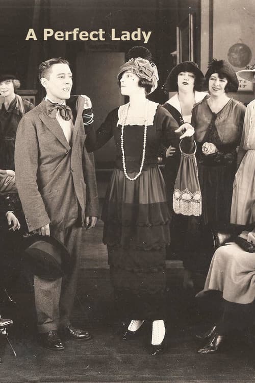 A Perfect Lady (1918) poster