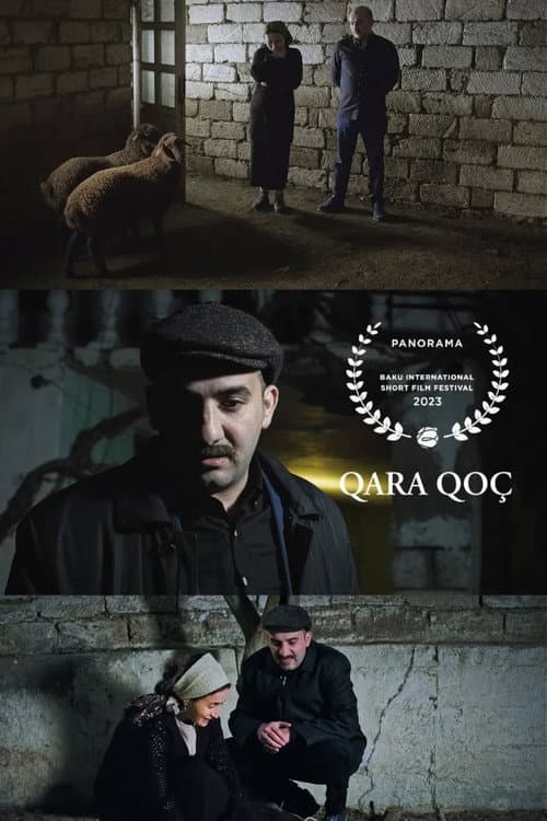 Qara Qoç (2024) poster