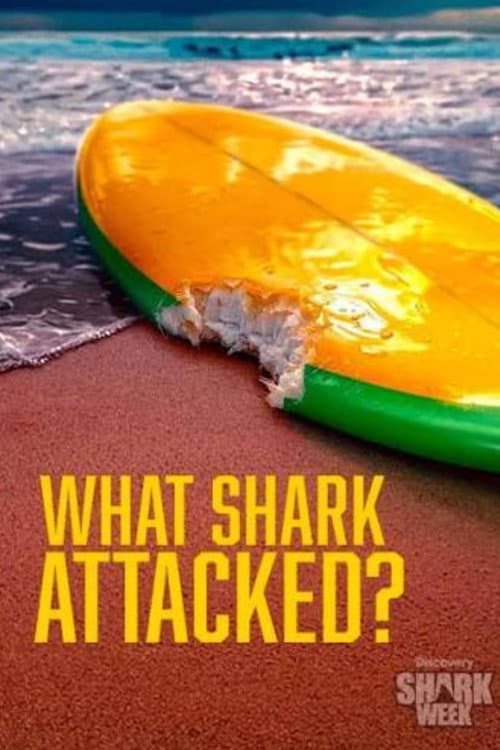 What Shark Attacked? (2026) poster