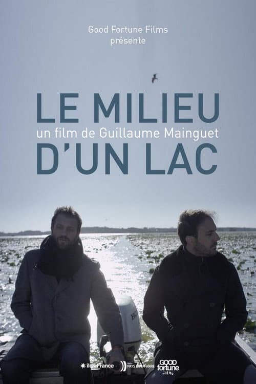 Le milieu d'un lac (2017) poster