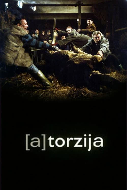(A)Torzija (2003) poster