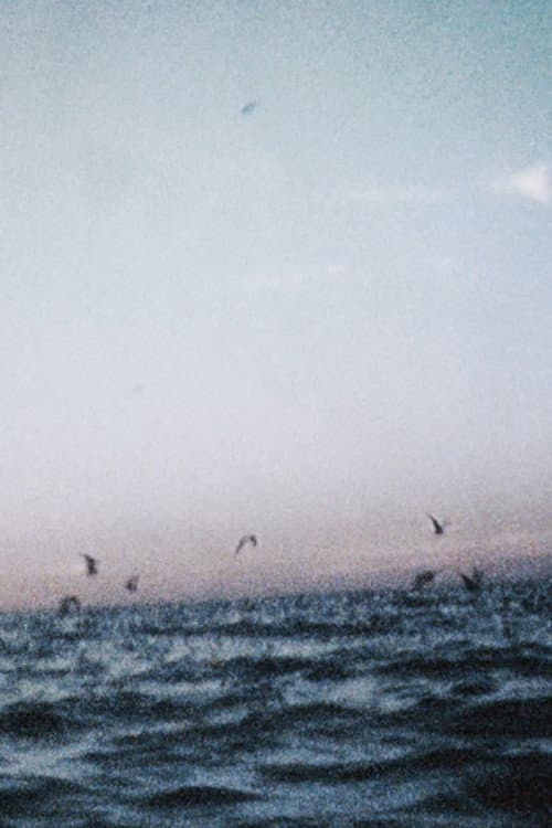 Ocean III (2018) poster