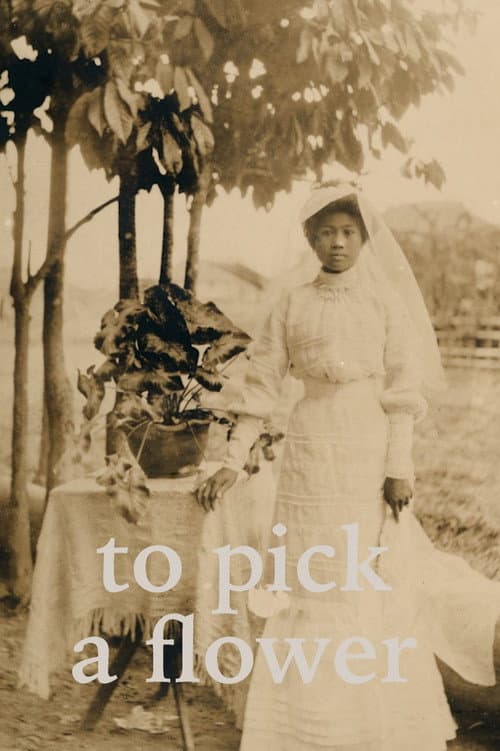 To Pick a Flower (2021) poster