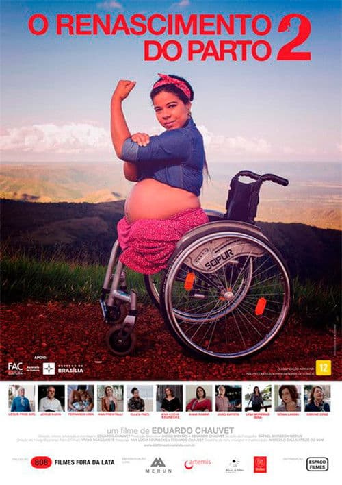 O Renascimento do Parto 2 (2018) poster