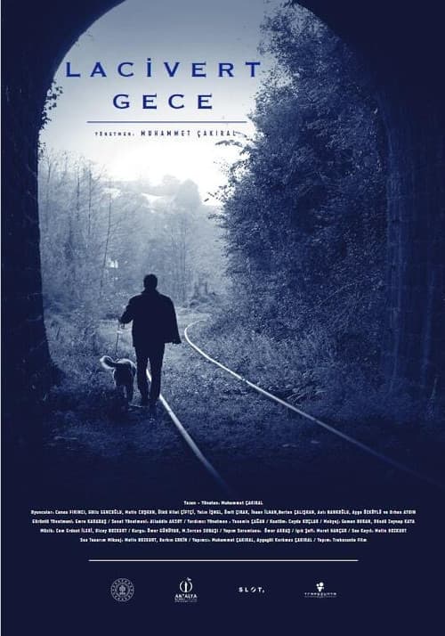 Lacivert Gece (2021) poster