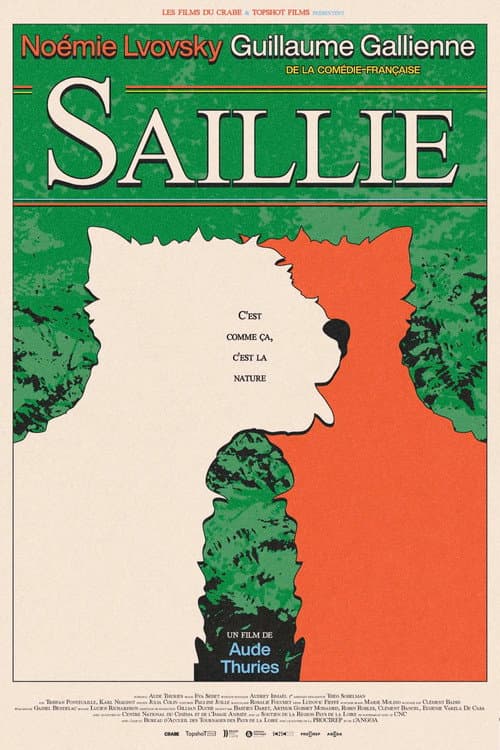 Saillie (2026) poster