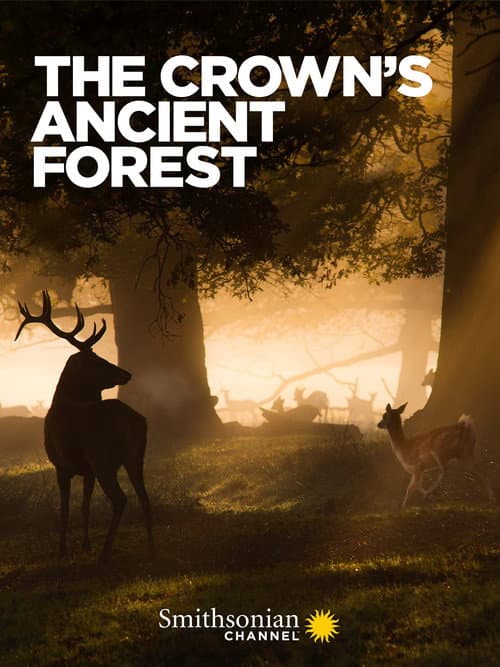 The Crown's Ancient Forest (2021) poster
