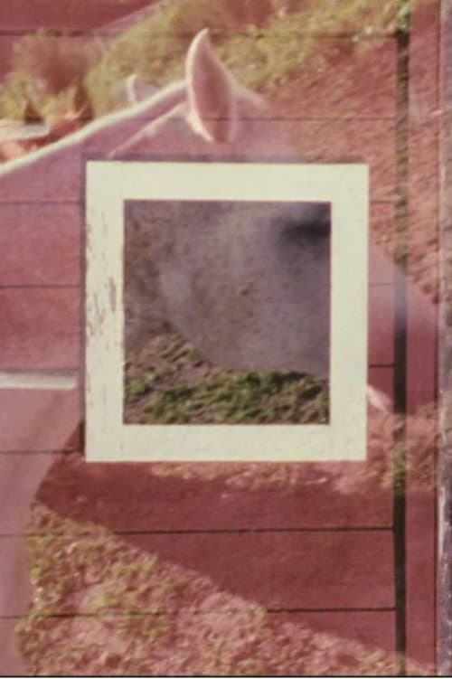 Stable (2003) poster