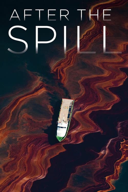 After the Spill (2015) poster