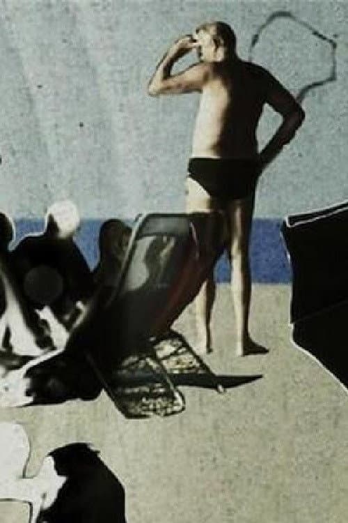 Amnezijak na plaži (2013) poster