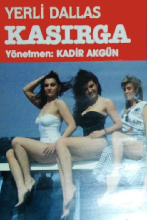 Yerli Dallas: Kasırga (1990) poster