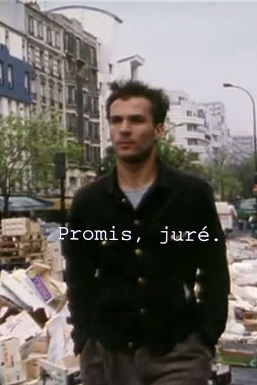 Promis, juré (1996) poster