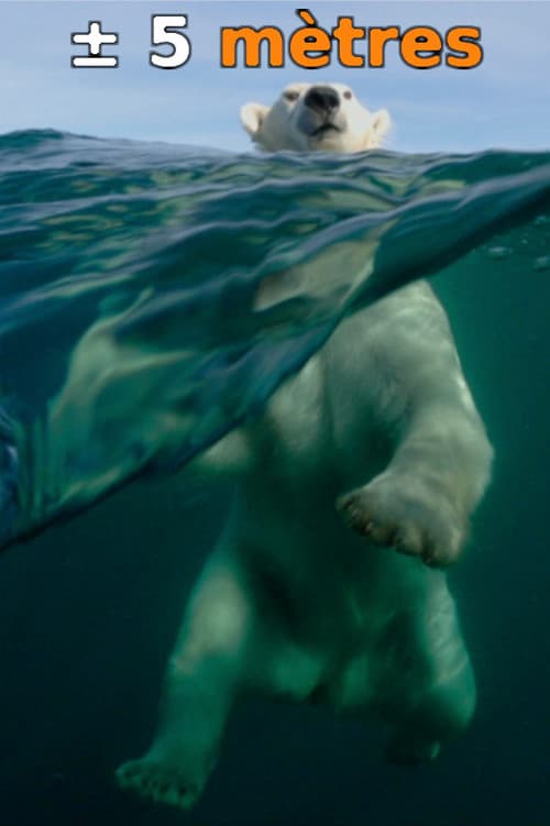 À ± 5 mètres de la surface des océans (2015) poster