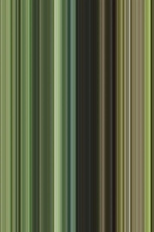 Été (2007) poster