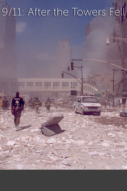 9/11: After The Towers Fell (2010) poster
