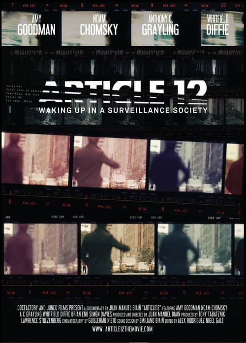 Article 12 (2010) poster