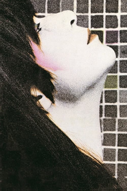 Rita Lee & Roberto de Carvalho: Saúde - Especial Sexta Super (1981) poster