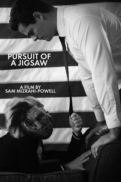 Pursuit Of A Jigsaw (2020) poster