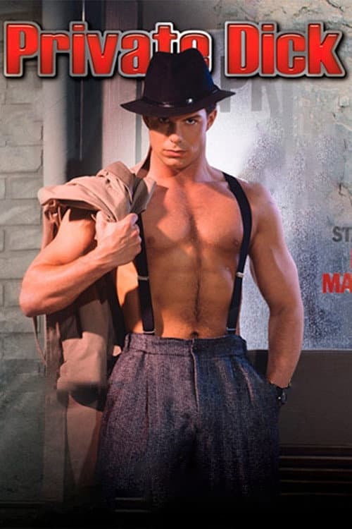 Private Dick (1990) poster