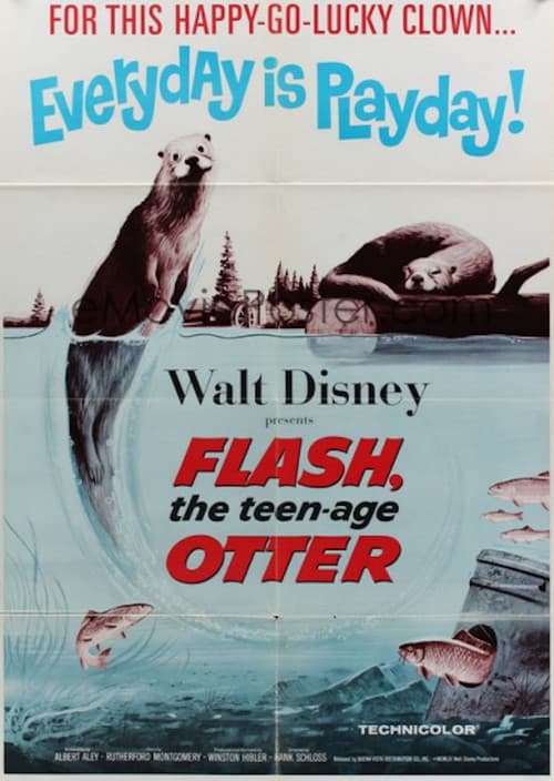 Flash, The Teenage Otter (1961) poster