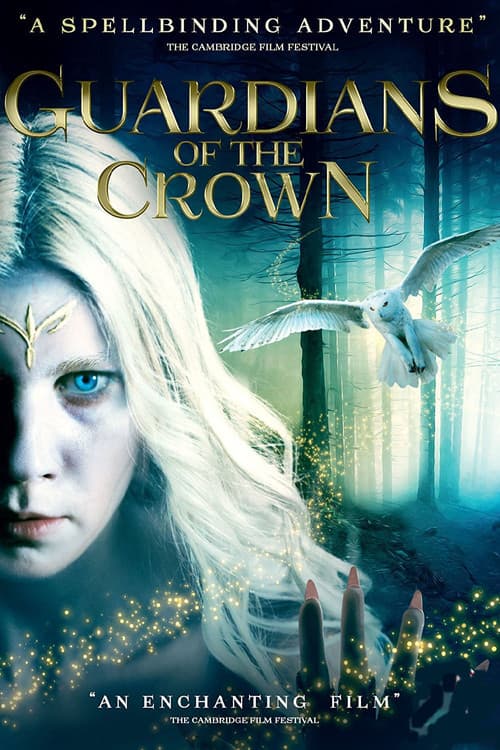 The Shadows (2014) poster