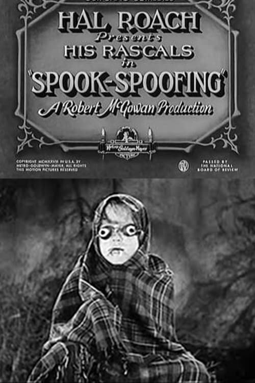 Spook Spoofing (1928) poster