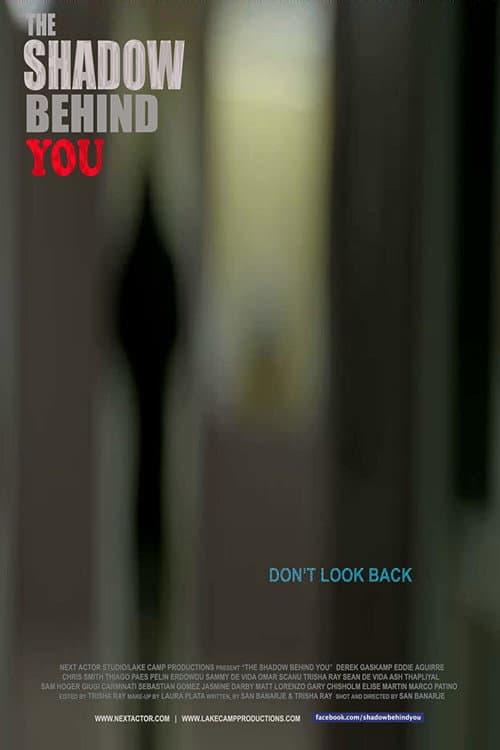 The Shadow Behind You (2015) poster