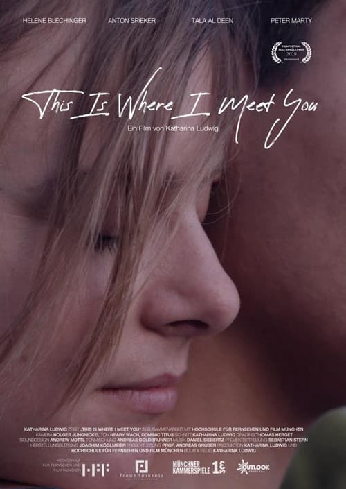 This Is Where I Meet You (2019) poster