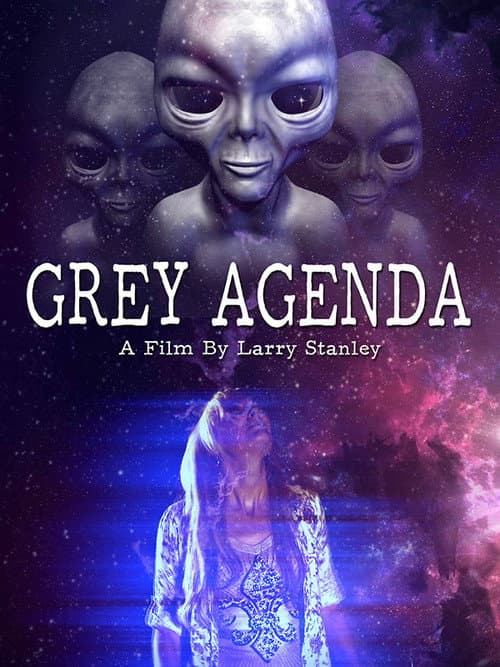 Grey Agenda (2017) poster