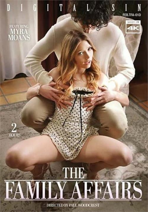 The Family Affairs (2026) poster