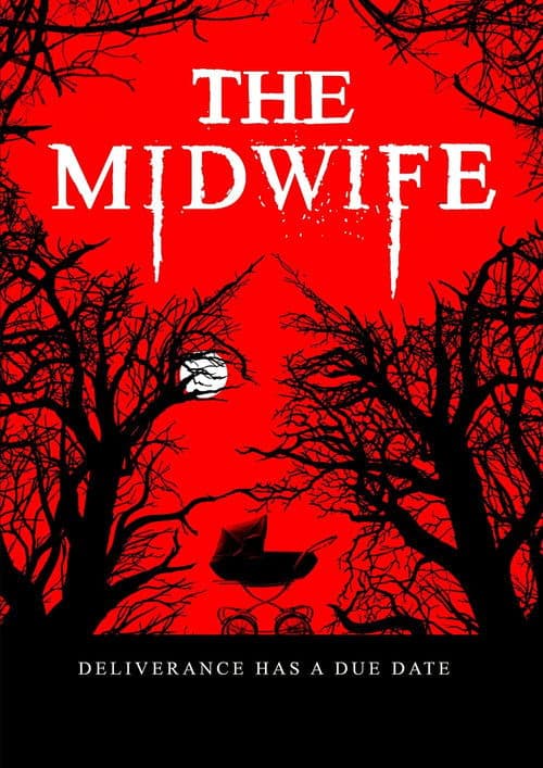 The Midwife (2021) poster