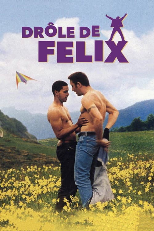 Drôle de Félix (2000) poster