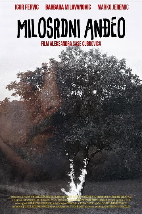 Milosrdni anđeo (2013) poster