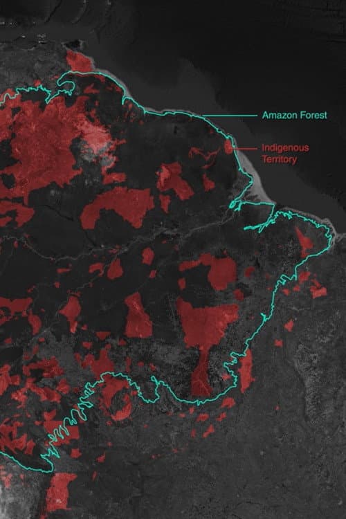 Gold Mining and Violence in the Amazon Rainforest (2022) poster