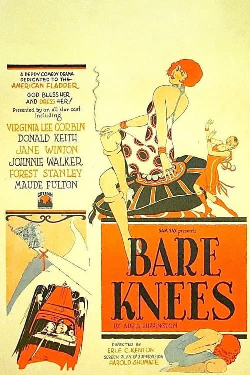 Bare Knees (1928) poster