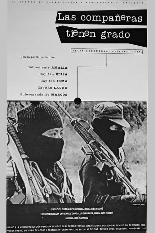 Las compañeras tienen grado (1995) poster