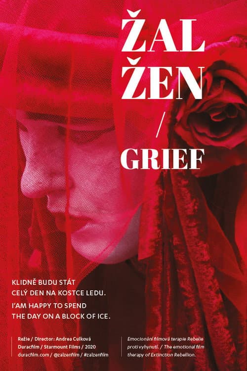 Žal žen (2022) poster