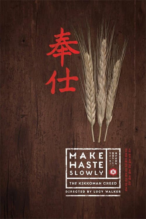 Make Haste Slowly (2012) poster