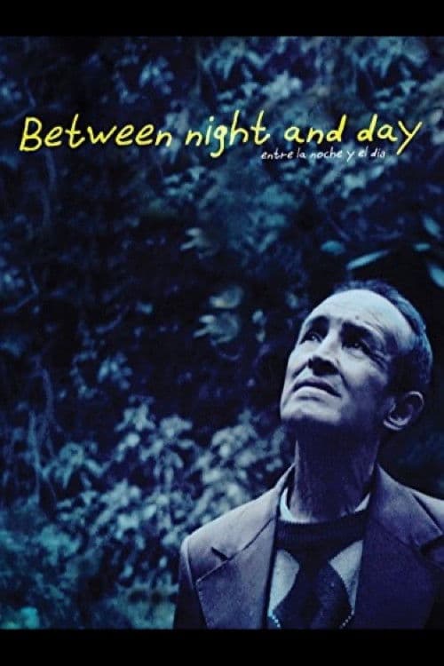 Entre la noche y el día (2013) poster