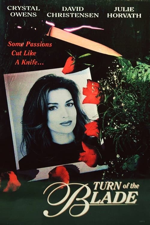 Turn of the Blade (1994) poster