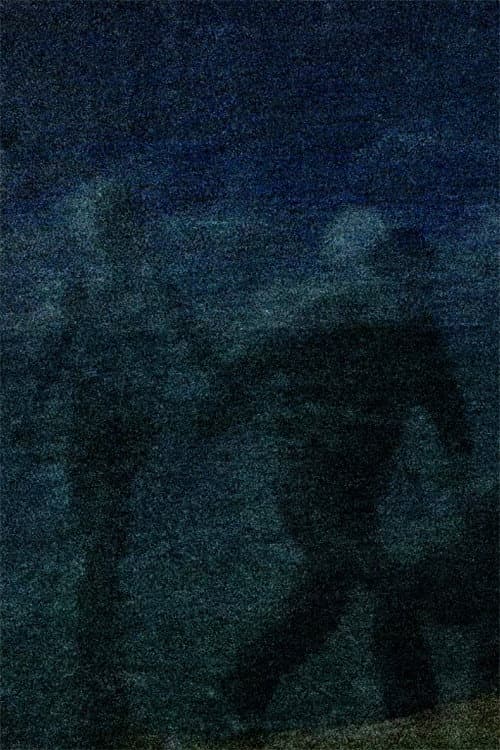 Baltagi (2019) poster