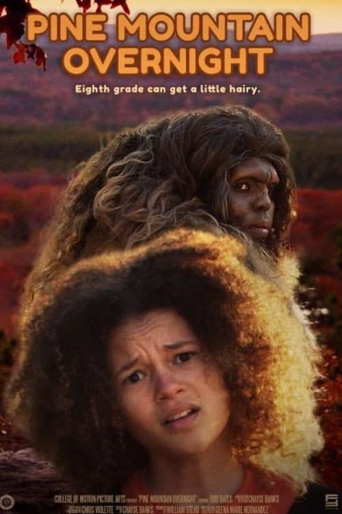 Pine Mountain Overnight (2020) poster